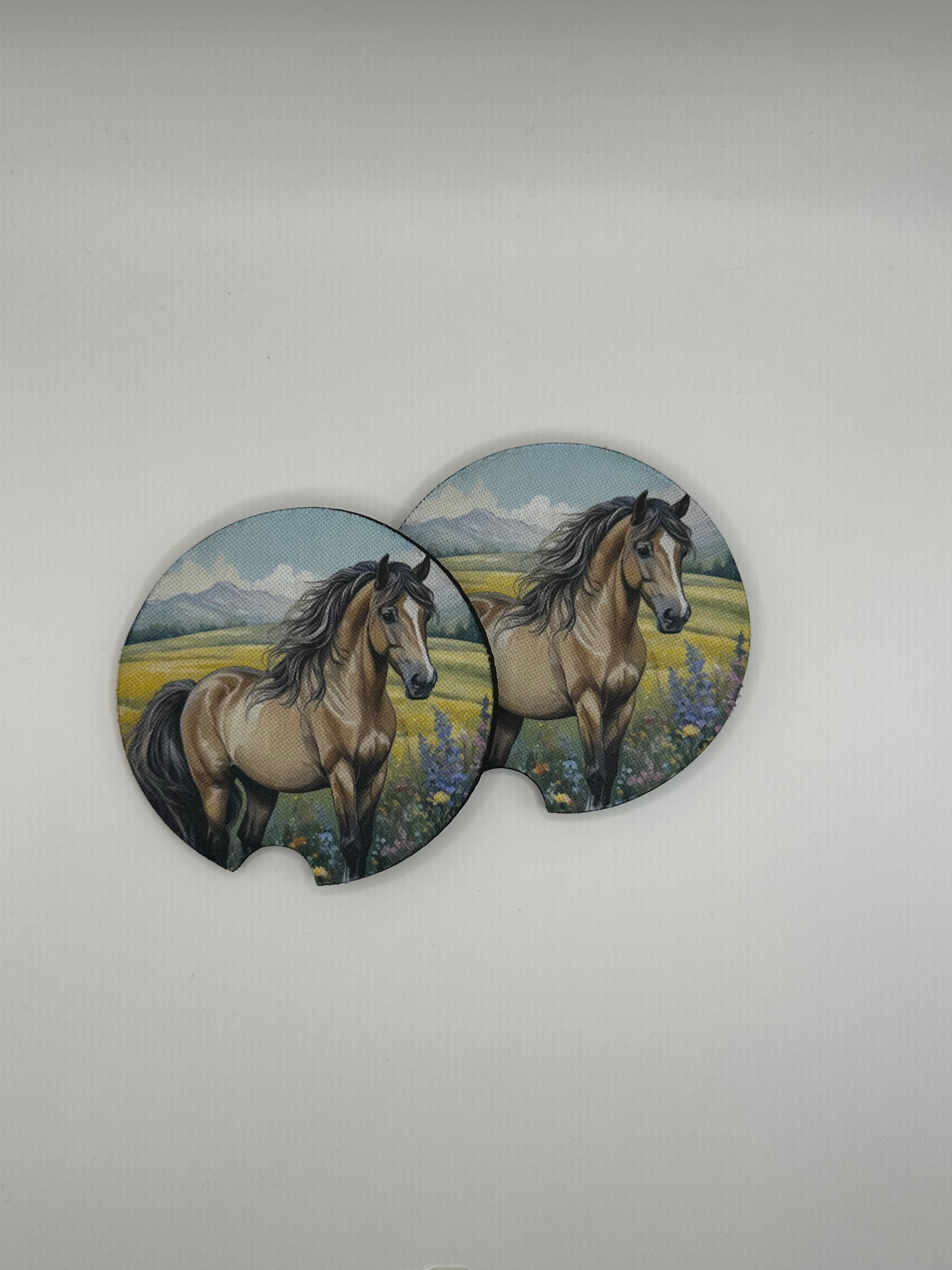 Western Boho Car Coasters